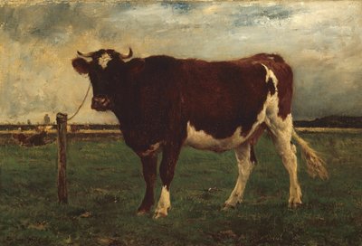 Étude d