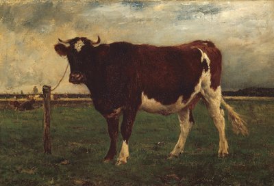 Étude d