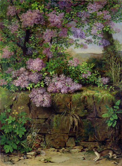 Lilas en fleurs devant un mur - Emilie von der Embde