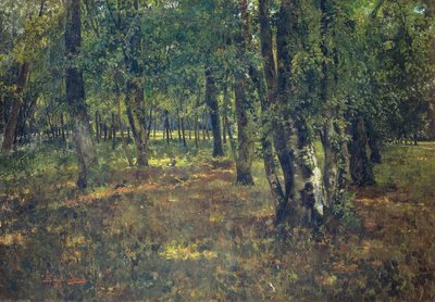 Bois - Emilio Borsa