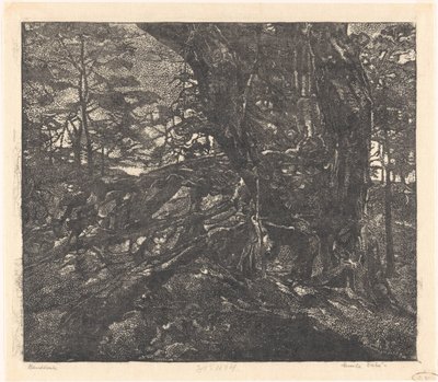 Arbres au bord d