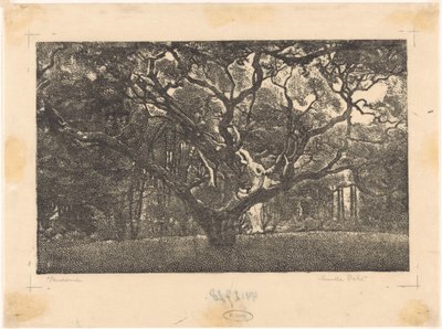 Forêt à Bergen - Emilius Wilhelmus Dehé (signed by artist)