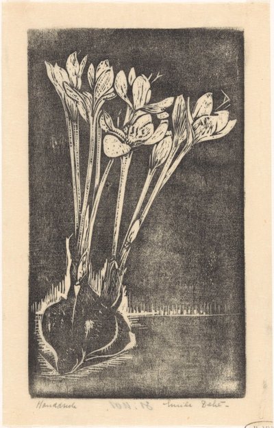 Colchique - Emilius Wilhelmus Dehé (signed by artist)