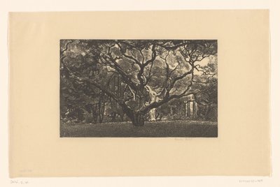 Vieil arbre - Emilius Wilhelmus Dehé (signed by artist)