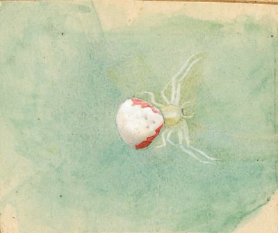 Araignée blanche en porcelaine - Emma Beach Thayer