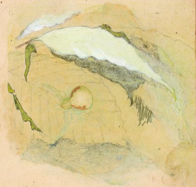 Araignée blanche en porcelaine - Emma Beach Thayer