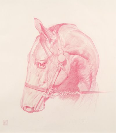 Tête de portrait, 2010 - Emma Kennaway