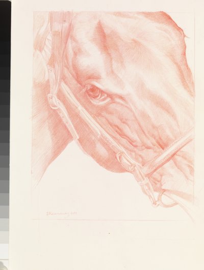 Tête de portrait, 2012 - Emma Kennaway