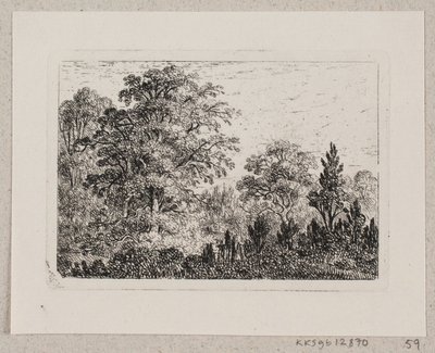 Paysage forestier - Emma Meyer