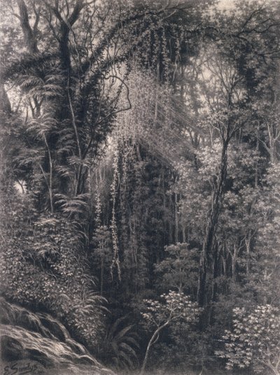 Vue de la gorge au-dessus d