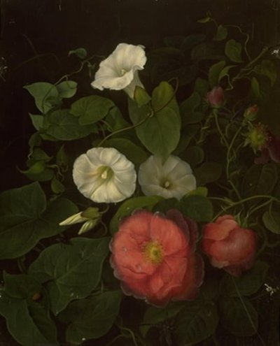 Roses et ipomée - Emma Thomsen