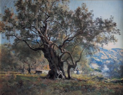 Oliviers à Vallonnet au bord de la route - Emmanuel Lansyer