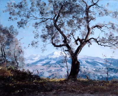 La région autour de Menton, près de Roquebrune - Emmanuel Lansyer