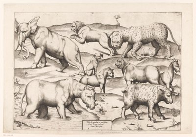 Neuf animaux - Enea Vico (attributed to)