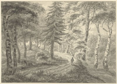 Vue de forêt - Engelbert Michaël Engelberts