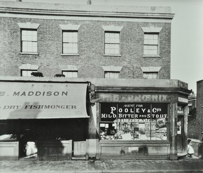 90-92 Albert Road, 1899 - English Photographer