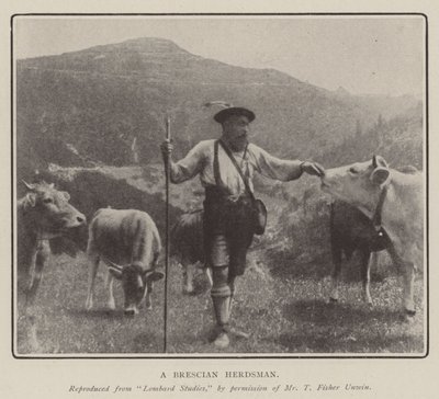 Un berger de Brescia - English Photographer