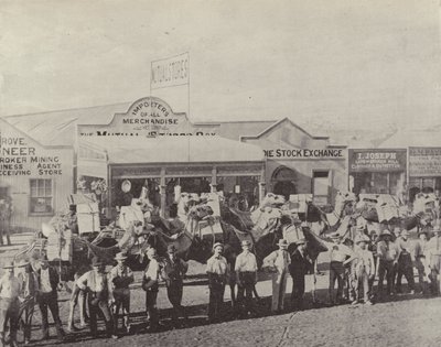 Un train de chameaux, Coolgardie, Australie-Occidentale - English Photographer