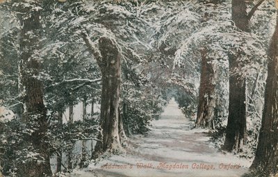 Addisons Walk, Magdalen College, Oxford - English Photographer