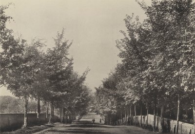 Aldeburgh, Westfields Avenue (photo n/b) - English Photographer