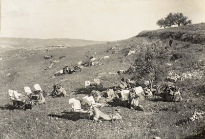 Chameaux ambulanciers, vers 1916-19 - English Photographer