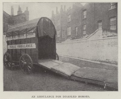 Une ambulance pour chevaux handicapés - English Photographer