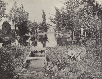 Aux étangs à saumon, New Norfolk - English Photographer