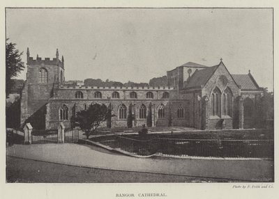 Cathédrale de Bangor - English Photographer