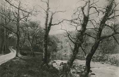 Bois de Bolton - English Photographer