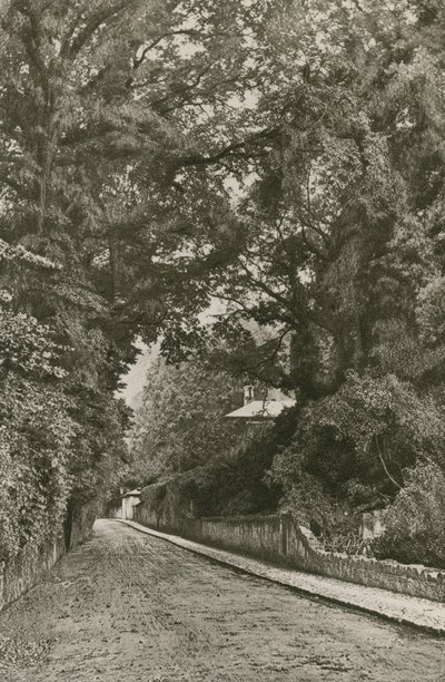 Bonchurch Road, Île de Wight - English Photographer