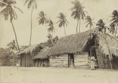 Bridgetown, Barbade, huttes - English Photographer