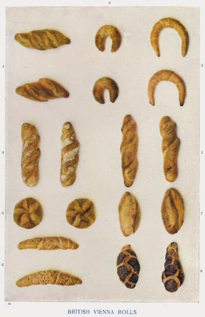 Rouleaux viennois britanniques - English Photographer