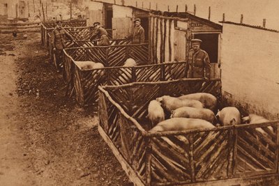 Porcherie de l