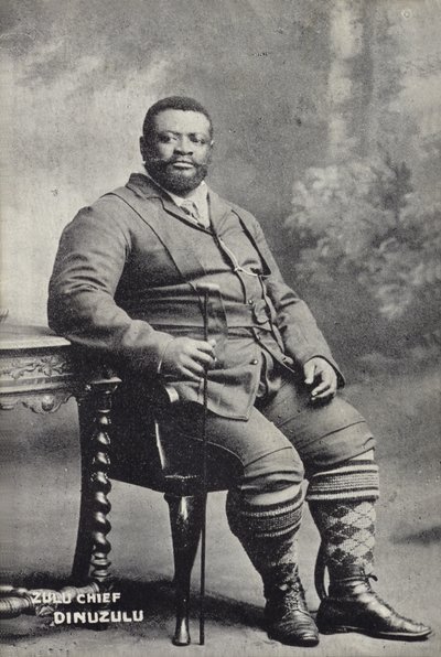Cetshwayo kaMpande, Roi de la nation Zoulou - English Photographer