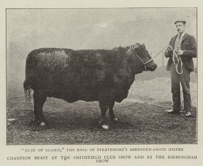 Champion bête au Smithfield Club Show et au Birmingham Show - English Photographer