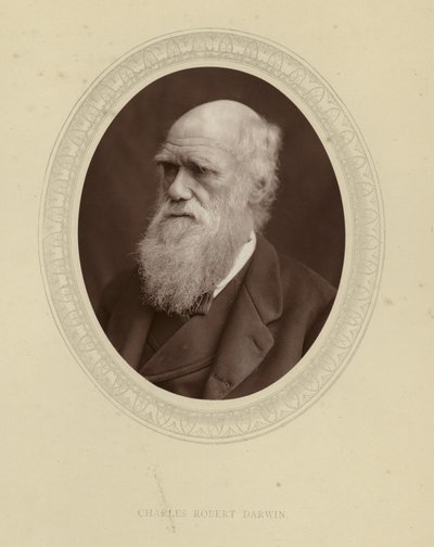 Charles Robert Darwin - English Photographer