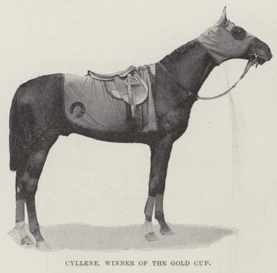Cyllene, vainqueur de la Gold Cup - English Photographer