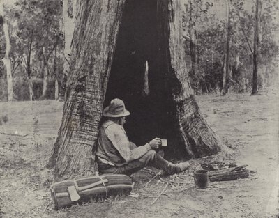 Malchanceux - English Photographer