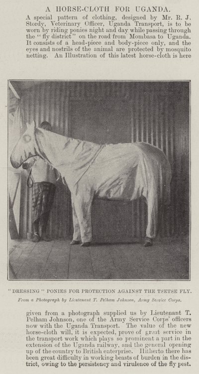 Habillage des poneys pour protection contre la mouche tsé-tsé - English Photographer