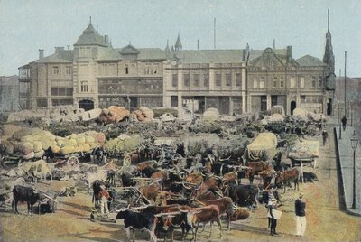 Marché du matin, Johannesburg - English Photographer