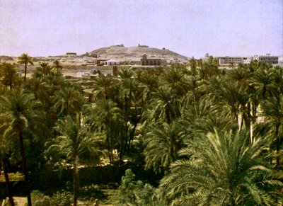 Égypte - Assouan - English Photographer