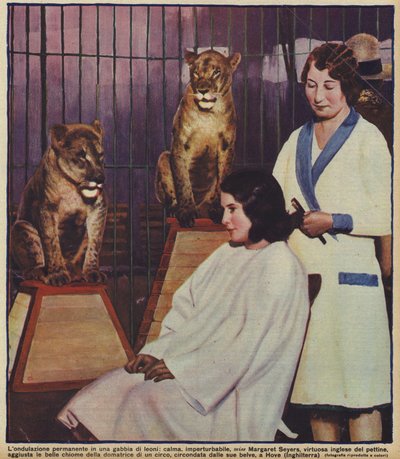 La coiffeuse anglaise Margaret Seyers coiffant calmement le dompteur de lions de cirque, observée par ses animaux, Hove, Sussex - English Photographer