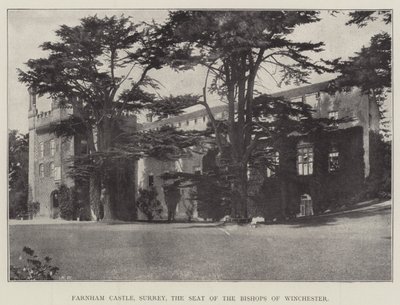 Château de Farnham, Surrey, résidence des évêques de Winchester - English Photographer