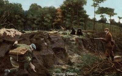 Chasse aux lapins à la campagne - English Photographer