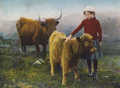 Fille caressant un veau - English Photographer