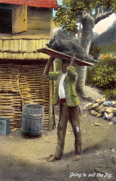 Aller vendre le cochon, Jamaïque - English Photographer