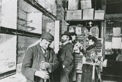 Animalerie de Great Portland Street - English Photographer