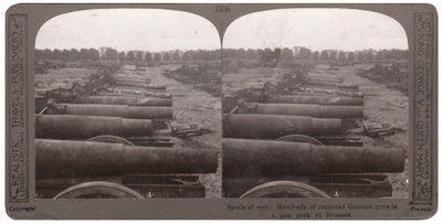 Des centaines de canons allemands capturés dans un parc d