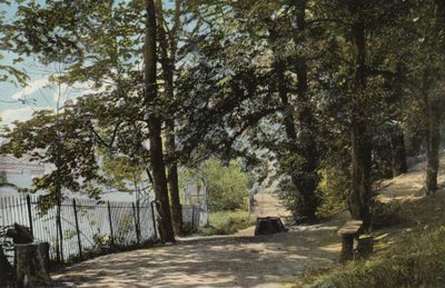 Jardins Jephson, Leamington - English Photographer