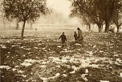 Herbe jonchée de détritus sur Hampstead Heath le lendemain d